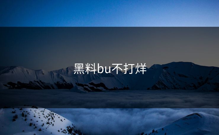 黑料bu不打烊
