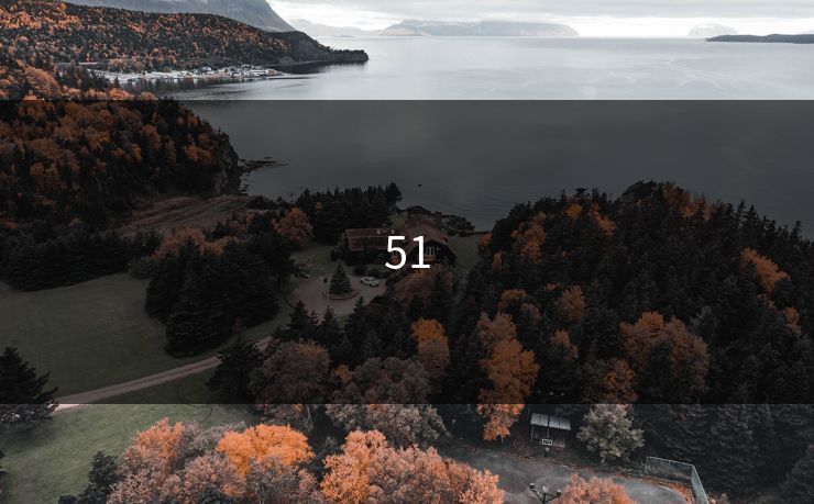 51