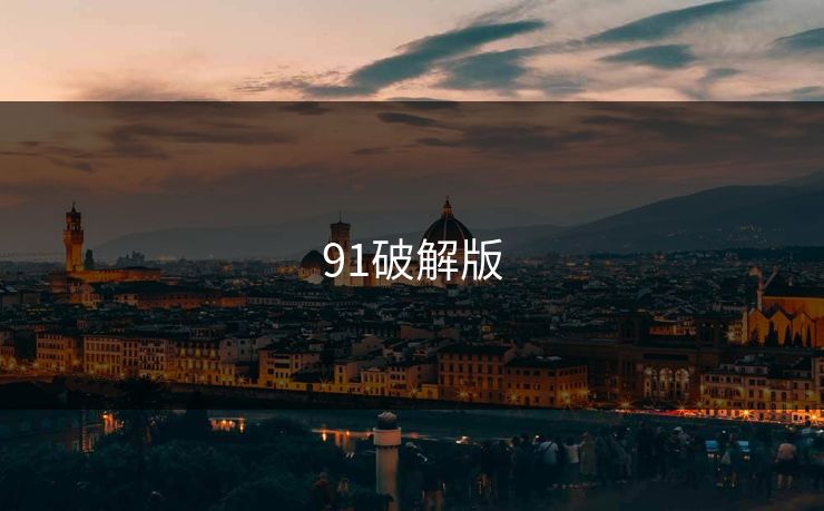 91破解版