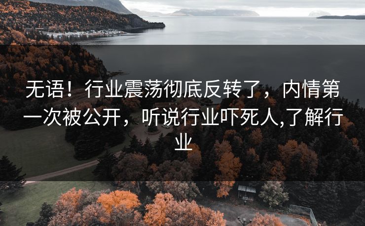无语！行业震荡彻底反转了，内情第一次被公开，听说行业吓死人,了解行业
